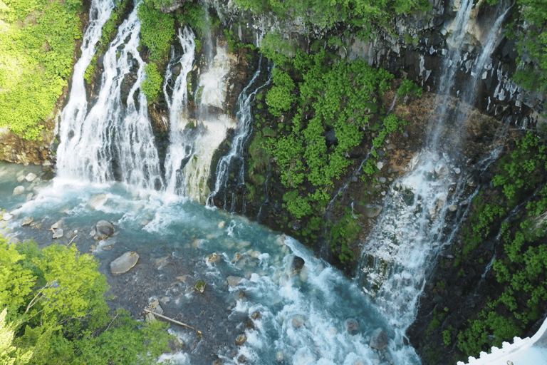 Hokkaido Summer Nature Experience: Furano & Biei