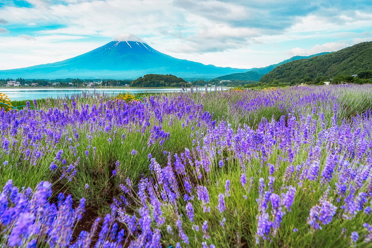 Depuis Tokyo : excursion d'une journée au mont FujiVisite en groupe