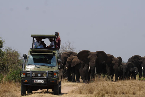 Kigali : Safari d&#039;une journée dans le parc national de l&#039;AkageraExcursion dans le parc national de l&#039;Akagera