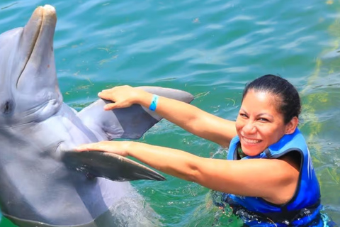 Punta Cana: Dolphin Explorer swimming Free Pickup Hotel Dolphin Action Program