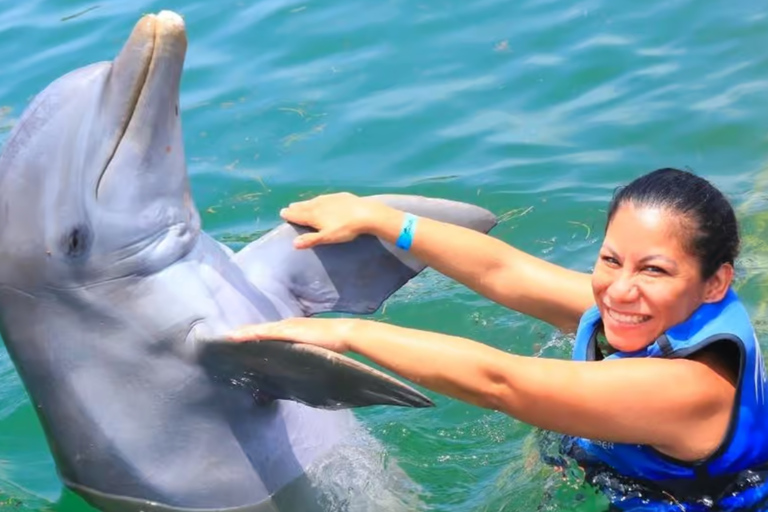 Punta Cana: Dolphin Explorer swimming Free Pickup Hotel Dolphin Action Program