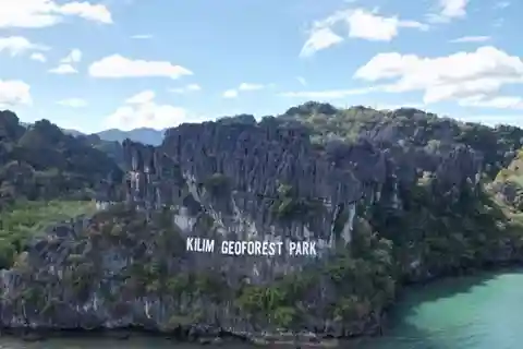 Tour de la mangrove 888 à Langkawi : Estimation de 2 heures (privé)