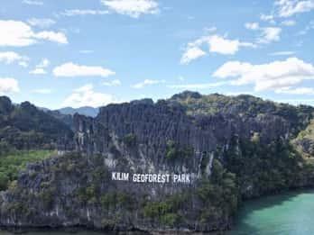Langkawi Mangrove Tour : Estimated 2 hours Lunch Available