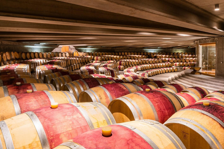 From Santiago: Viña Montes Winery Tour with Wine Tasting