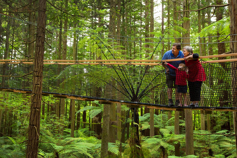 Tour em pequenos grupos de Auckland a Rotorua e itens extras de atividadesExcursão a Rotorua com caminhada pelas sequoias e entrada no Polynesian Spa