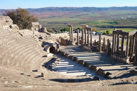 Prywatna 1-dniowa wycieczka z Tunisu: Dougga i Bulla RegiaZ Tunisu: Dougga i Bulla Regia - prywatna wycieczka 1-dniowa