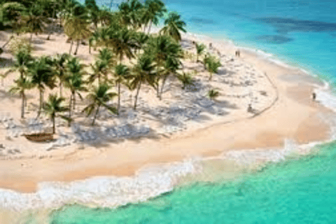 From Punta Cana: Samaná Bay Whale Watching & Waterfall Tour