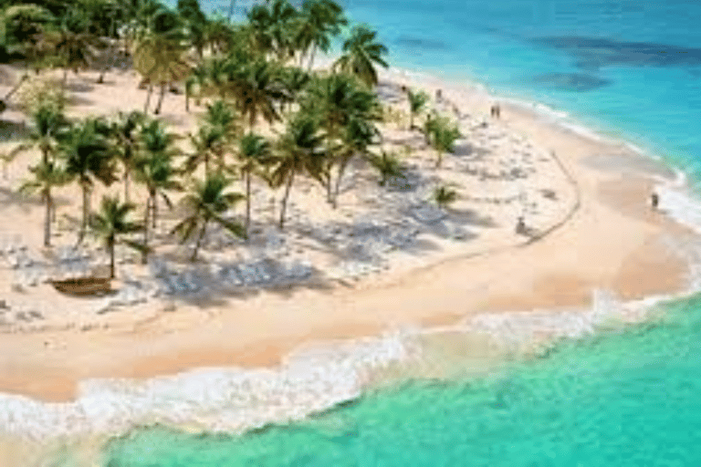 From Punta Cana: Samaná Bay Whale Watching & Waterfall Tour