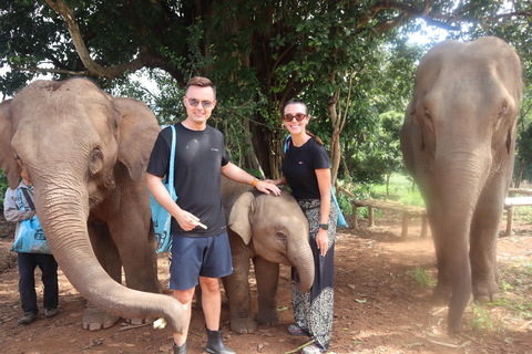 Chiang Mai: Santuario degli elefanti, cascata e tour di raftingServizio di prelievo in hotel