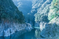 Immersive Experience Tour in Totsukawa village - Housity