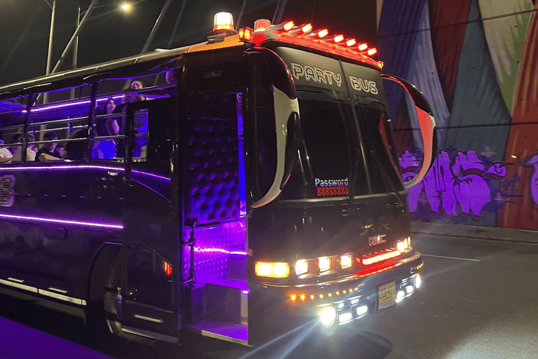 麦德林：乘坐主题车辆的圣诞灯光城市观光