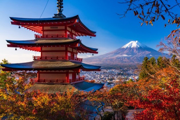 Fuji Speedway Self Drive &amp; Mt. Fuji Tour z odbiorem na LEXUSIE