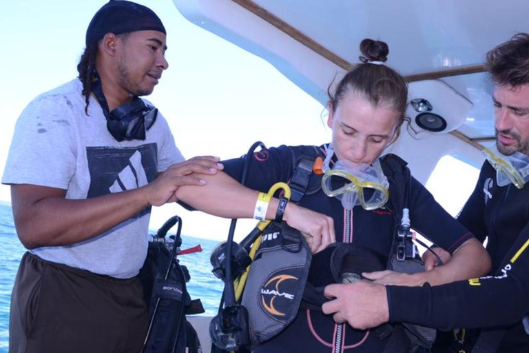 Scuba Diving at Catalina Island - 2 Tanks / 2 Spots