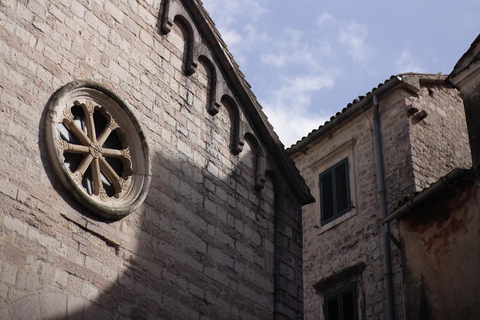 Da Bar, Montenegro: Escursione a terra a Kotor e Budva