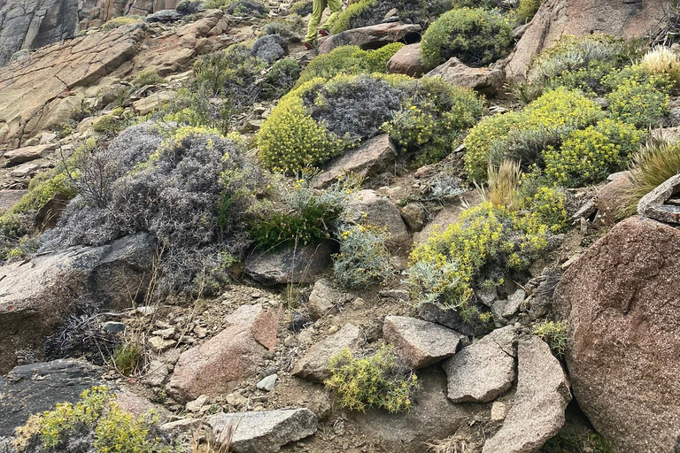 Puerto Natales: Rock climbing in Patagonia