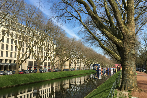 Delicias de Düsseldorf: Exclusivo tour a pie guiado privado