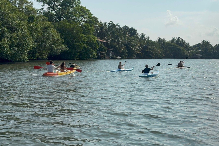 Bentota/Beruwala: Galle Fort, Koggala Lake & Kayaking Tour