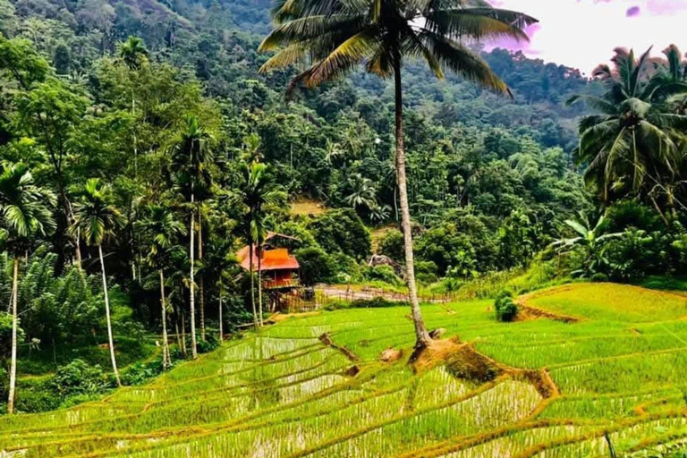 Kandy: Heeloya Village Tour with Lunch and Guide