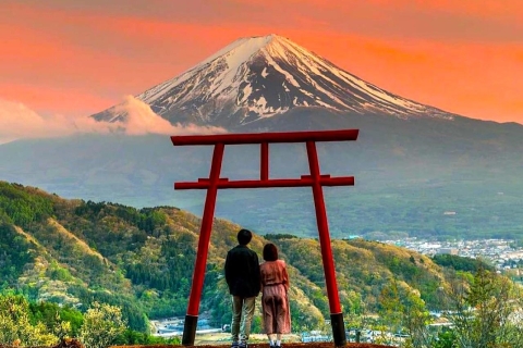 2-Daagse privé Tour Tokyo MT Fuji en Hakone met gids