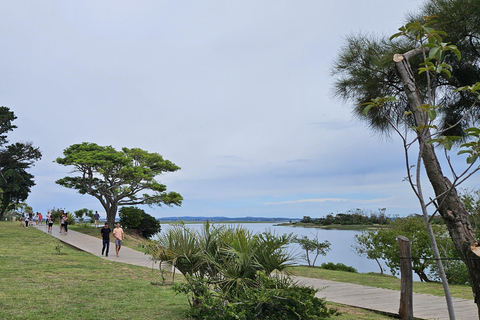 Stadstour in Punta del Este: Ontdek het beste met andere reizigers