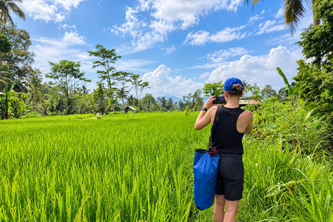 Lombok: Black Langur, Rice Fields & Sarang Walet Falls Sukarara, Black Langur, Rice Fields & Sarang Walet Falls