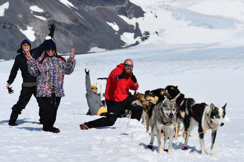 Seward, Alaska: Helicopter Glacier Dog Sledding Adventure