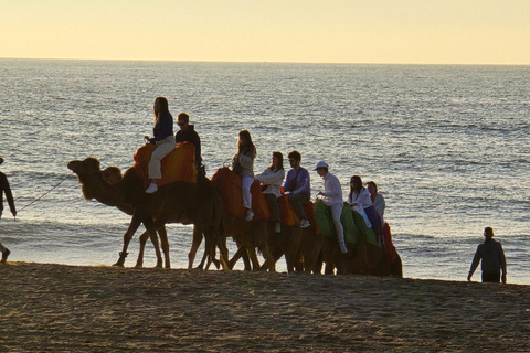 Camel Walk in Tangier