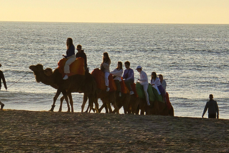 Camel Walk in Tangier