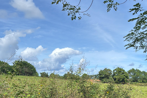 Punta Cana: viagem de 1 dia a Samaná com a Cachoeira El LimónPunta Cana: Viagem de 1 dia a Samaná com a Cachoeira El Limón