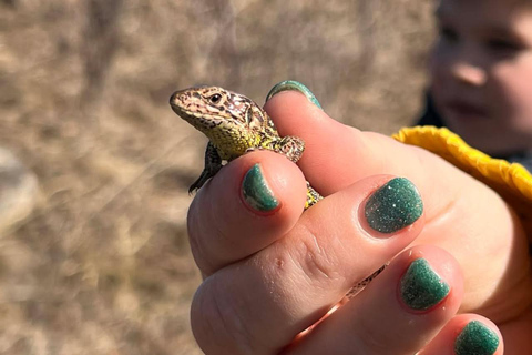 From Sofia: Wildlife Tracking & Search Science Expedition
