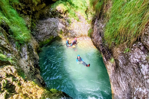 من بوفيك: التجديف العائلي في هاكونا ماتاتاأفضل 100% من رحلات التجديف العائلية في هاكونا ماتاتا