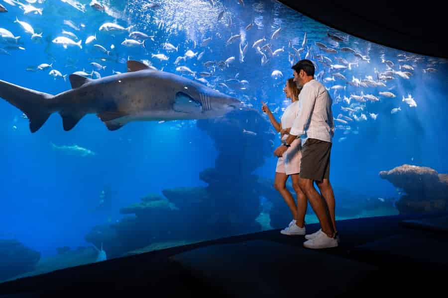 Mallorca: Palma Aquarium Eintrittskarte mit optionalem 3D-Kino. Foto: GetYourGuide