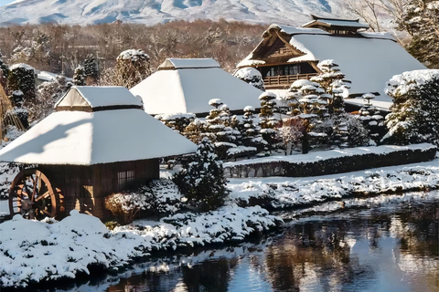 Tokio: Jednodniowa wycieczka do parku Fuji Oishi i gorących źródeł Yamanaka8:00 Spotkajmy się na stacji Tokio