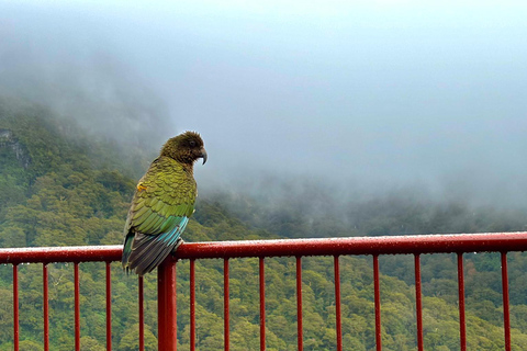 Queenstown a Te Anau via Milford Sound, incluindo cruzeiro e almoçoDe Queenstown a Te Anau via Milford Sound, incluindo cruzeiro e almoço