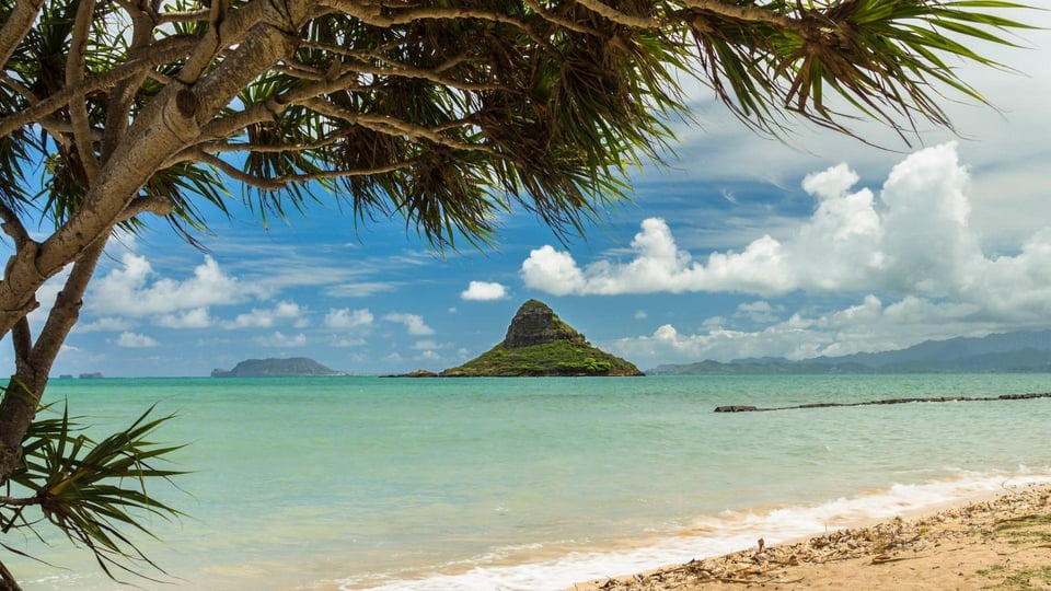 Oahu: Tur în grup mic al insulei North Shore Circle