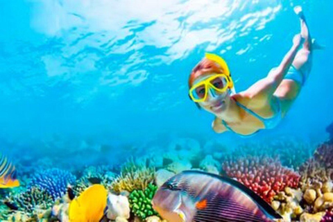 Riviera Maya: Isla Contoy and Isla Mujeres Full-Day Tour