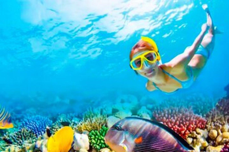 Riviera Maya: Isla Contoy and Isla Mujeres Full-Day Tour