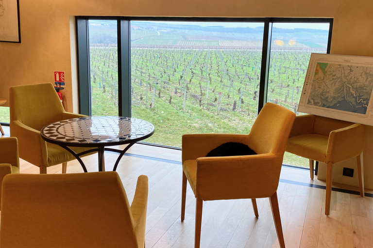 Burgundia prywatna 3 domeny Chateau Pommard Chablis 15 winPrywatna jednodniowa wycieczka do Chablis Chateau de Pommard