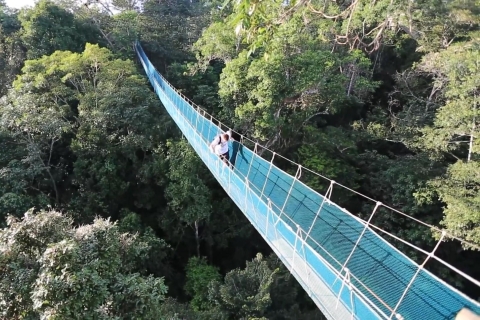 Extreme Adventure I – Iquitos | Suspension Bridge + Canopy
