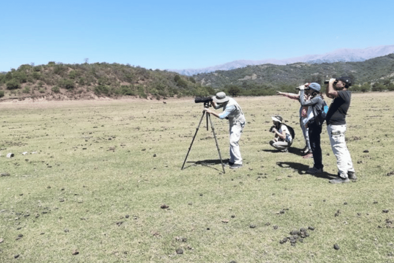 Salta: Birdwatching in La Caldera and the Cornice Route Salta: Birdwatching in La Caldera and the Corniche Route