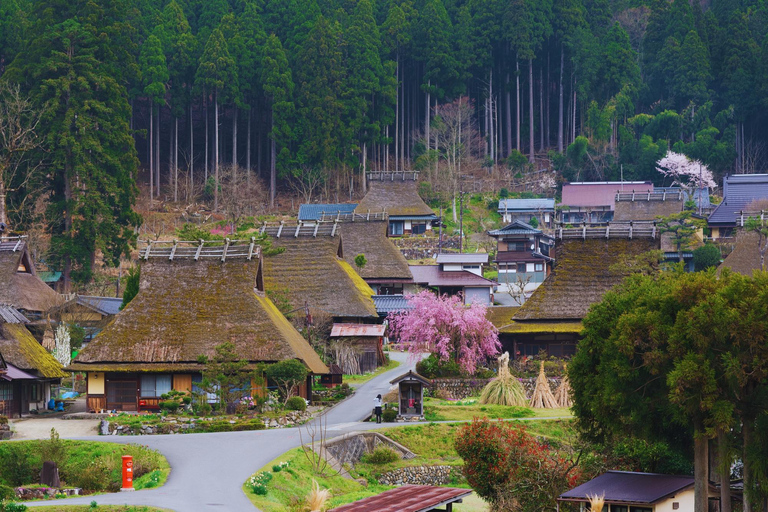 Osaka: Amanohashidate, Ine Boat Houses & Miyama Day Trip 1:Tango Amanohashidate + Ine + Miyama（Snacks for Seagulls）