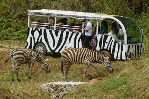 Cebú:Excursión de un día al Parque de Aventuras Safari de Cebú