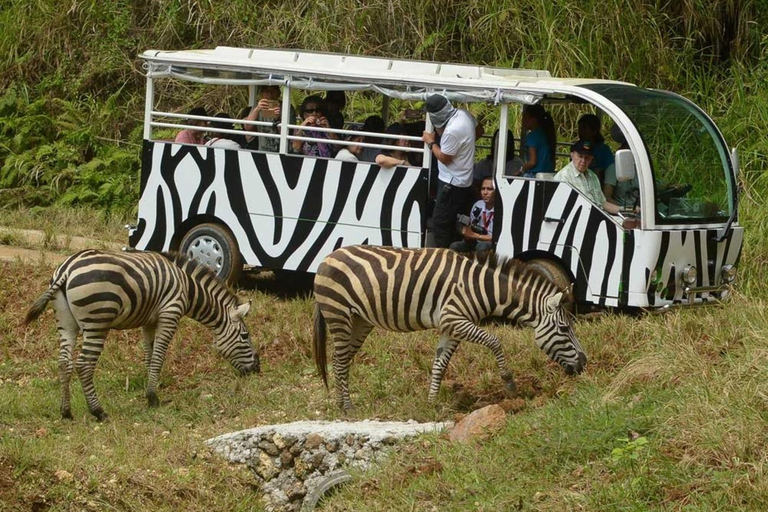 Cebú:Excursión de un día al Parque de Aventuras Safari de Cebú