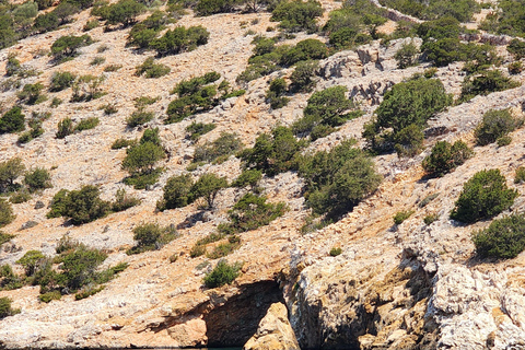 Naxos: South Coast of Naxos with BBQ Lunch
