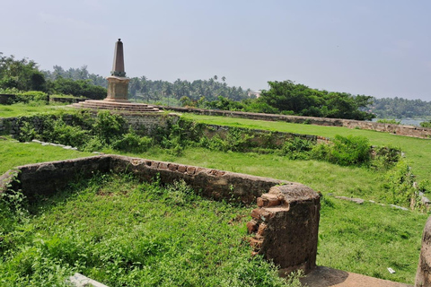 Desde Bangalore Excursión de un día a Mysore y Srirangapatna con guía