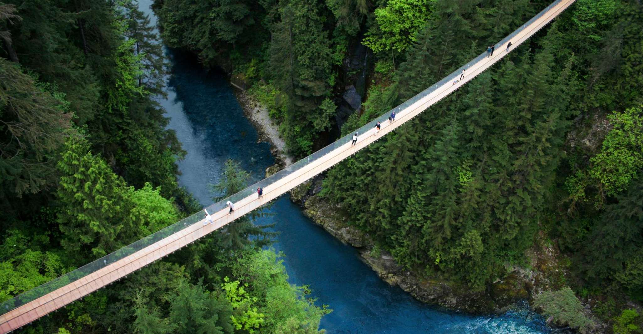 Vancouver: Capilano Suspension Bridge Park Ticket