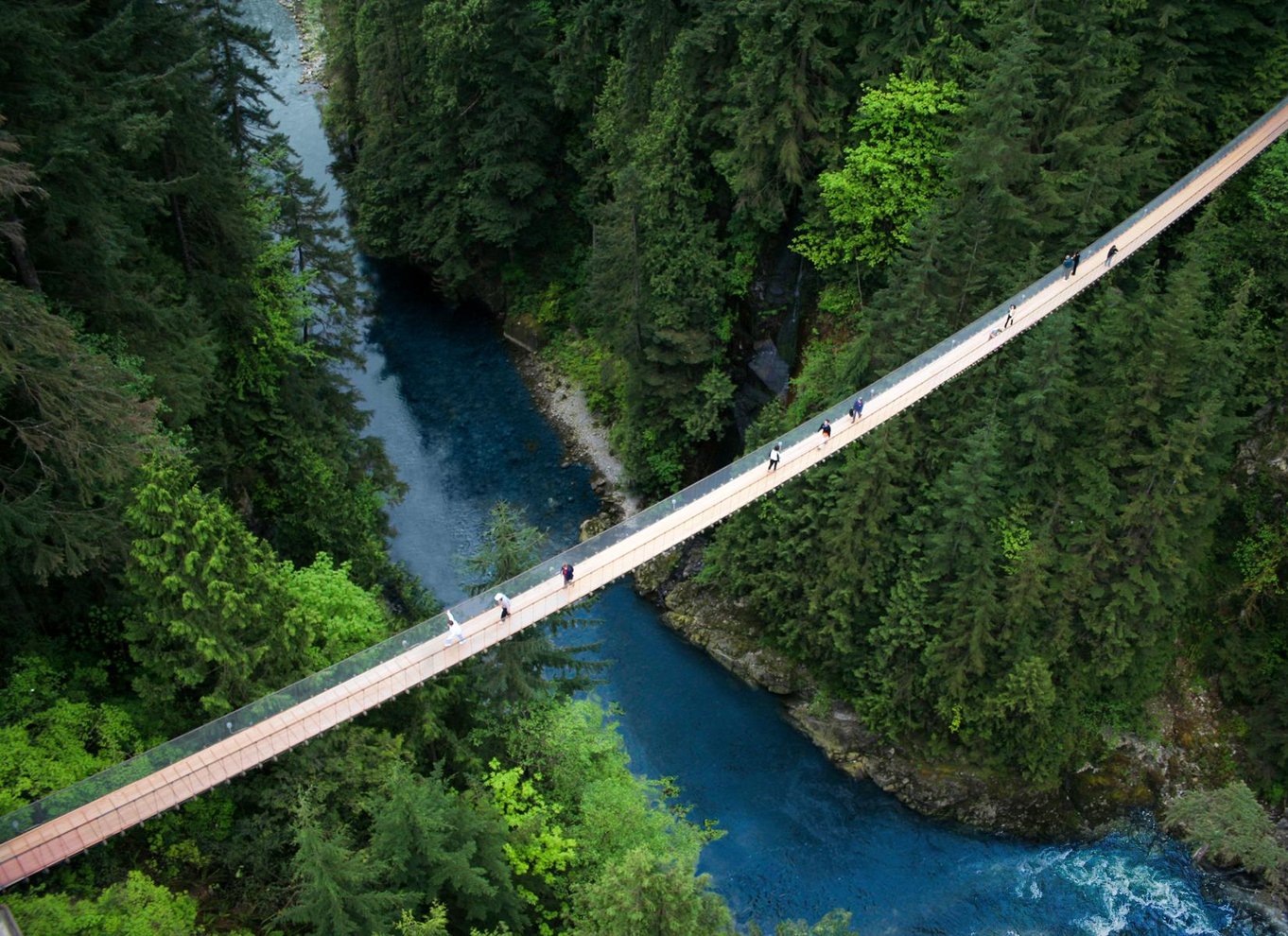 Vancouver: Capilano Suspension Bridge Park billet