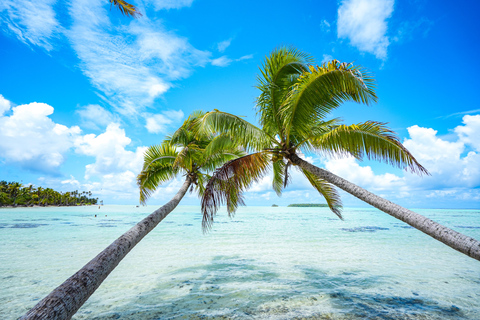 Von Tahiti aus: Tetiaroa Inselrundfahrt mit dem Segelkatamaran