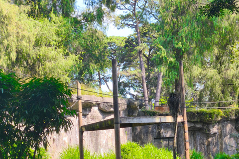 Tour of La Aurora Zoo, Historic Center, and Ciudad Cayalá in Guatemala