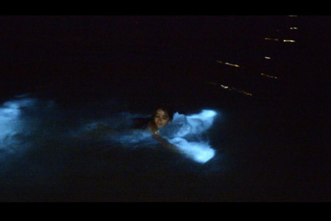 Falmouth: Yacht Cruise with Luminous Lagoon with Lunch